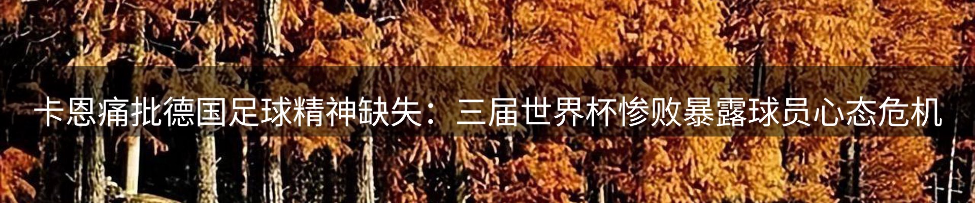 最新动态