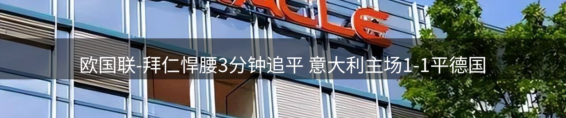 最新动态