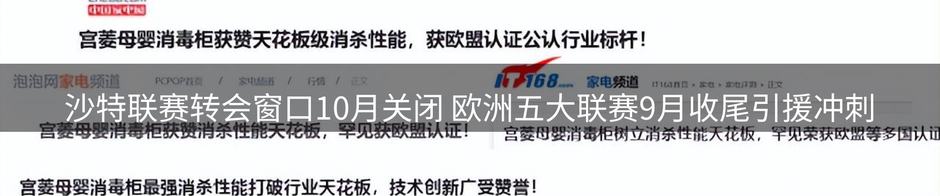 最新动态
