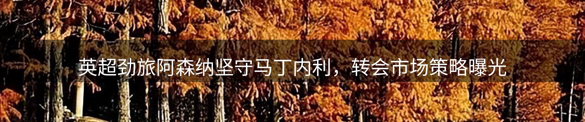 最新动态