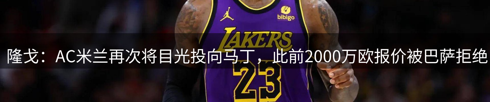 最新动态